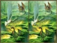 /album/kepgaleria-3d-stereogram/stereogram15-jpg/